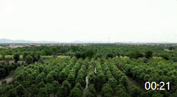 句容市天王鎮順鼎苗木種植園-2021年建立100周年紅色故事紀念系列HD