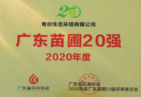 2020年度廣東苗圃20強